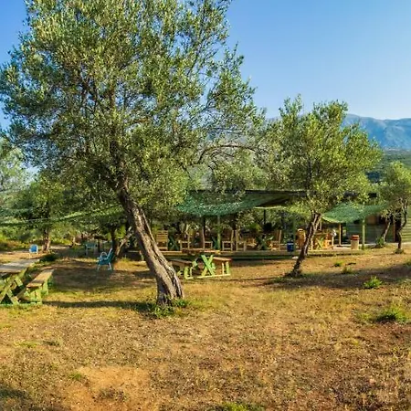 Black Goat Camping