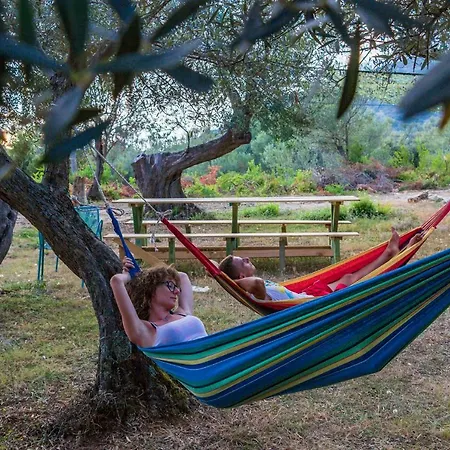 Black Goat Camping *